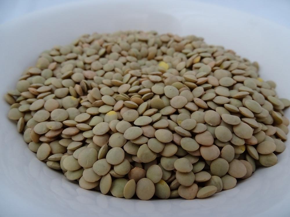 healthy lentils