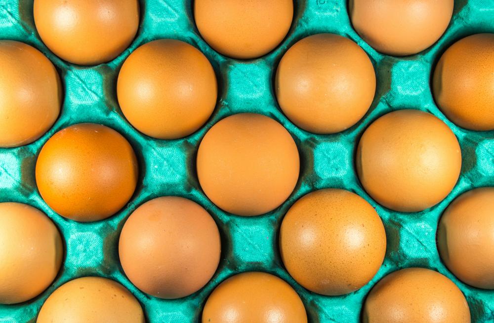 protein sources